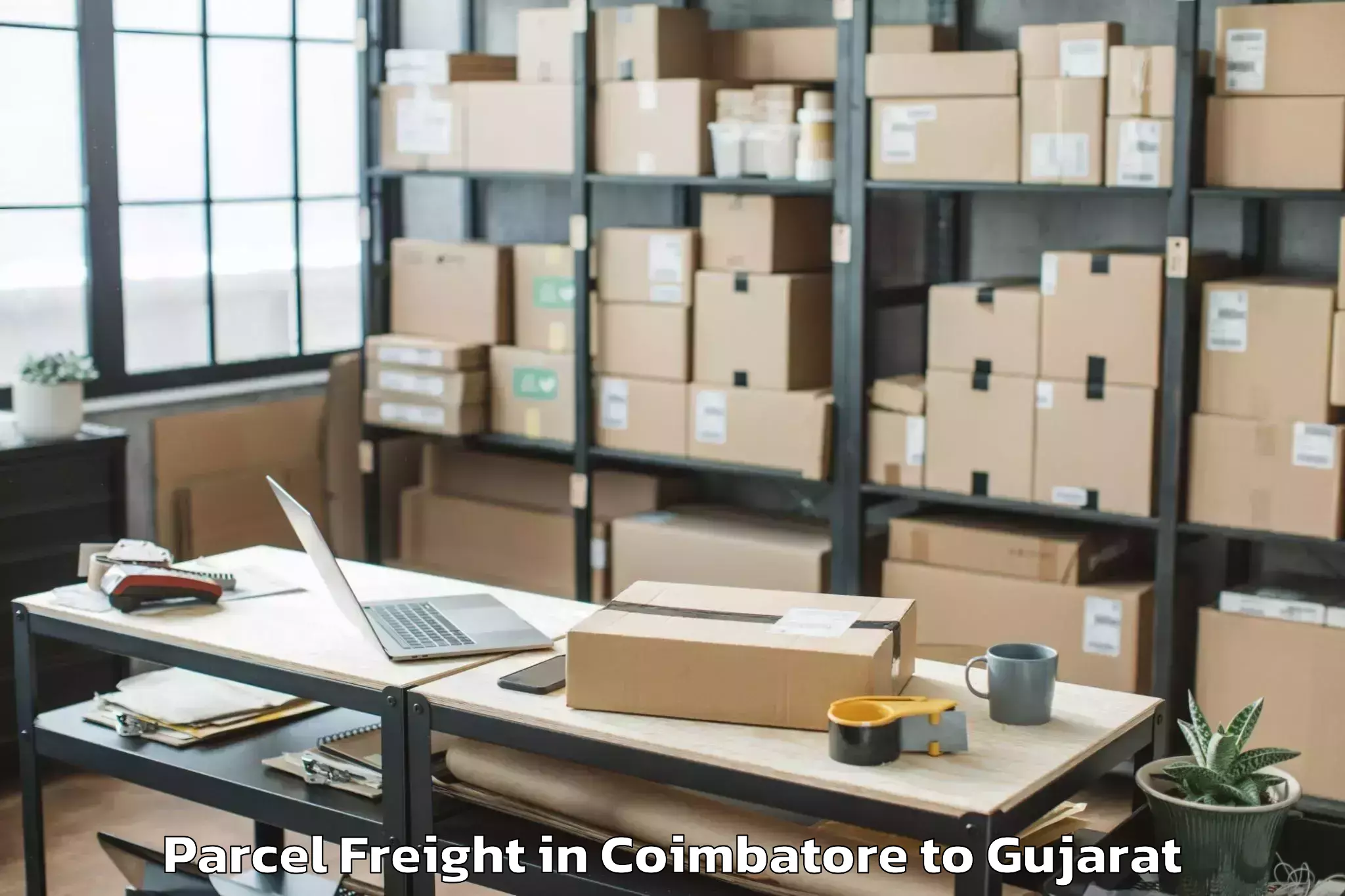 Leading Coimbatore to Marwadi University Rajkot Parcel Freight Provider